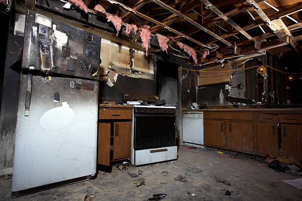 Licensed Fire Damage Restoration service in Rosemount, OH - Fire Damage Laser Cleaning